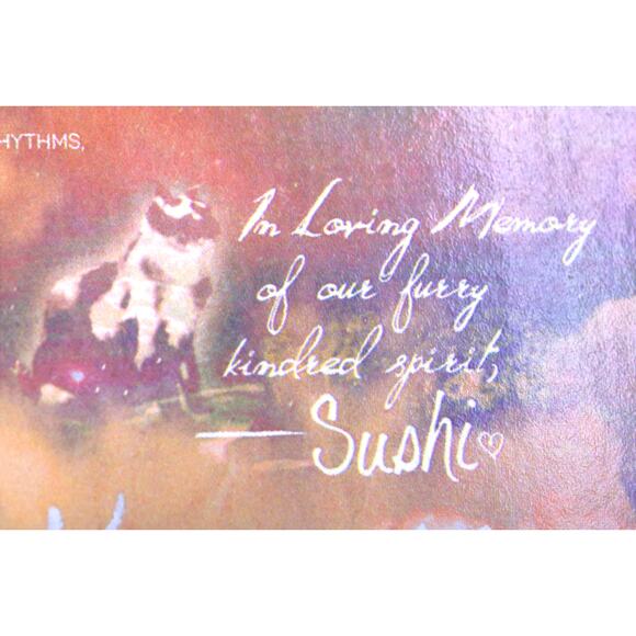 Skytree - Cirrus Sapiens Autographed Signed CD w/ Custom Art - Picture 8 of 11